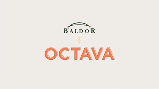 Octava Review