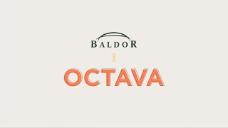 Octava Review